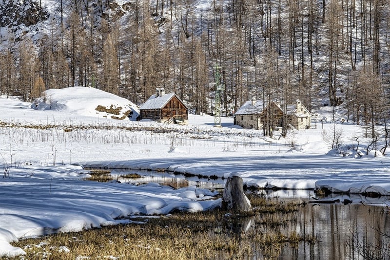 Secluded Cabin in the Woods